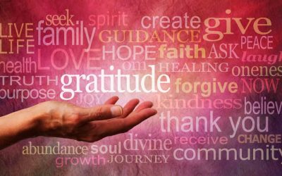 2017: A new cycle of hope and gratitude