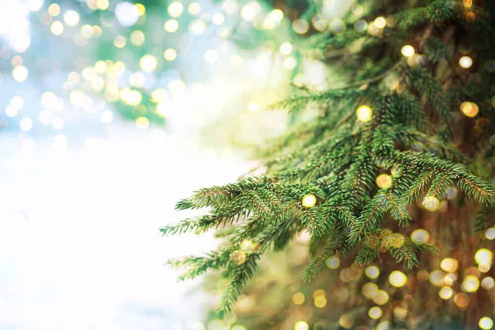 Top 5 Ways to “Green” Your Christmas