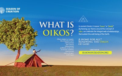 Renewing the Oikos of God